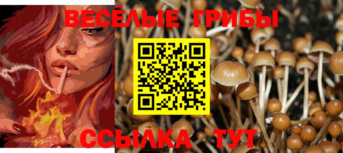 Псилоцибиновые грибы GOLDEN TEACHER  где купить наркоту  Мытищи  Вход с VPN 